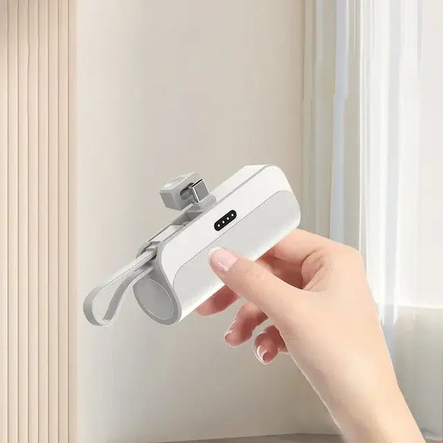 LASTD Charger